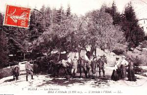 587- Blida - Les glacieres
